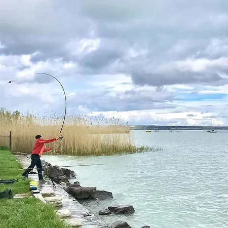بيت للعطل Balatonbereny/balaton 18152 Balatonberény
